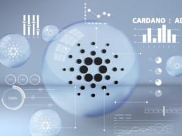 How to stake cardano