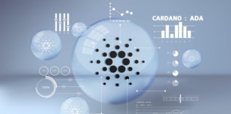 How to stake cardano